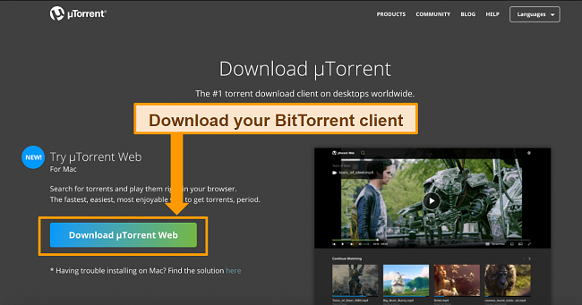 best site for mac torrents